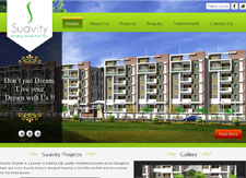 Real Estate Website showcase